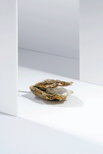 Afbeelding in Gallery-weergave laden, LIEFSTE OESTER LAMPJE
