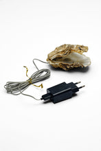 Afbeelding in Gallery-weergave laden, LIEFSTE OESTER LAMPJE
