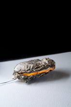 Afbeelding in Gallery-weergave laden, LIEFSTE OESTER LAMPJE
