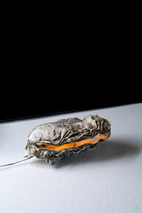 LIEFSTE OESTER LAMPJE