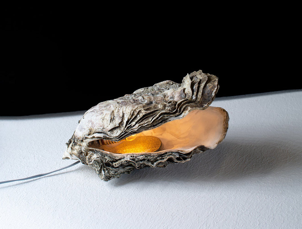 LIEFSTE OESTER LAMPJE